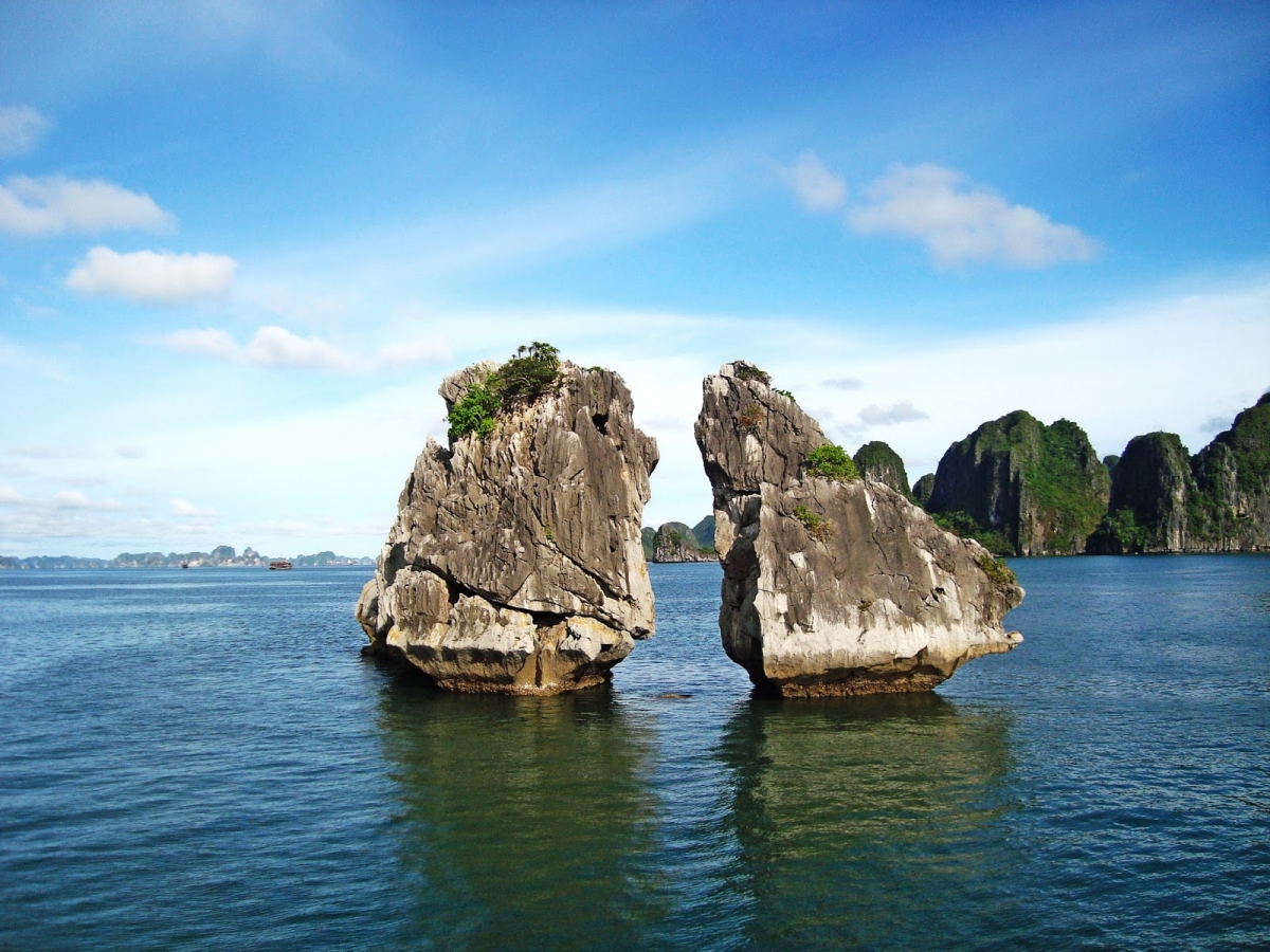 Halong Bay 1 Day 4  Hours Cruise