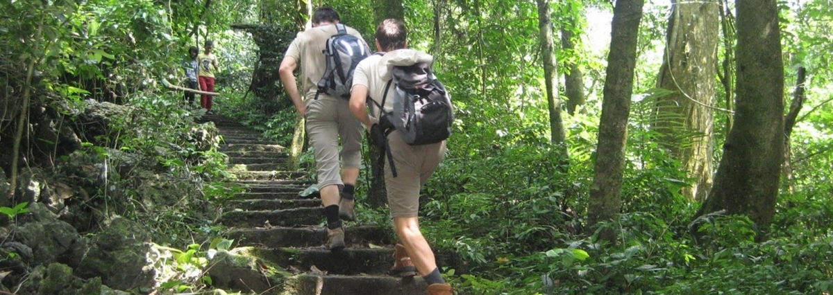 Hoa Lu - Tam Coc - Cuc Phuong National Park Private 2 Days - 1 Night Tour