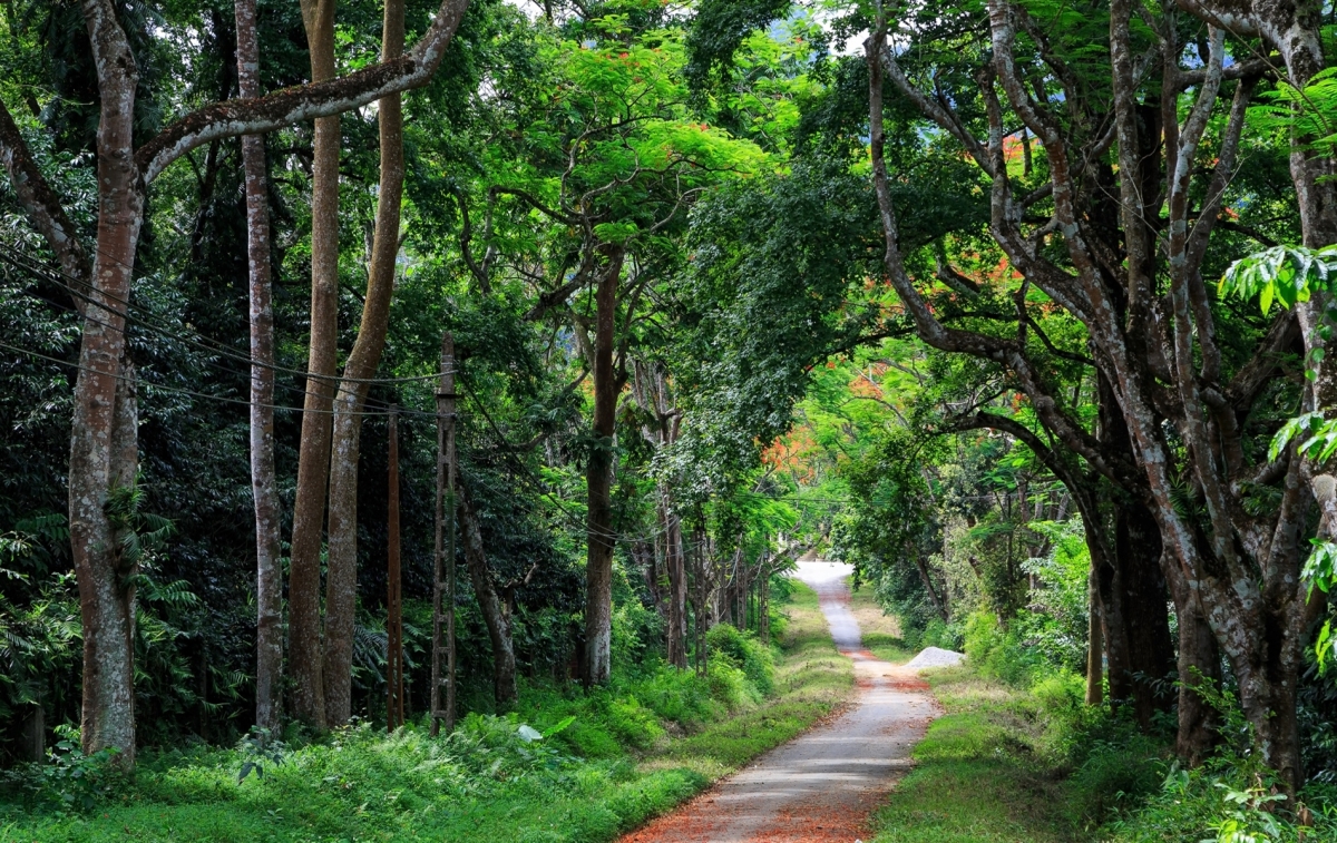 Hoa Lu - Tam Coc - Cuc Phuong National Park 2 Days - 1 Night Tour