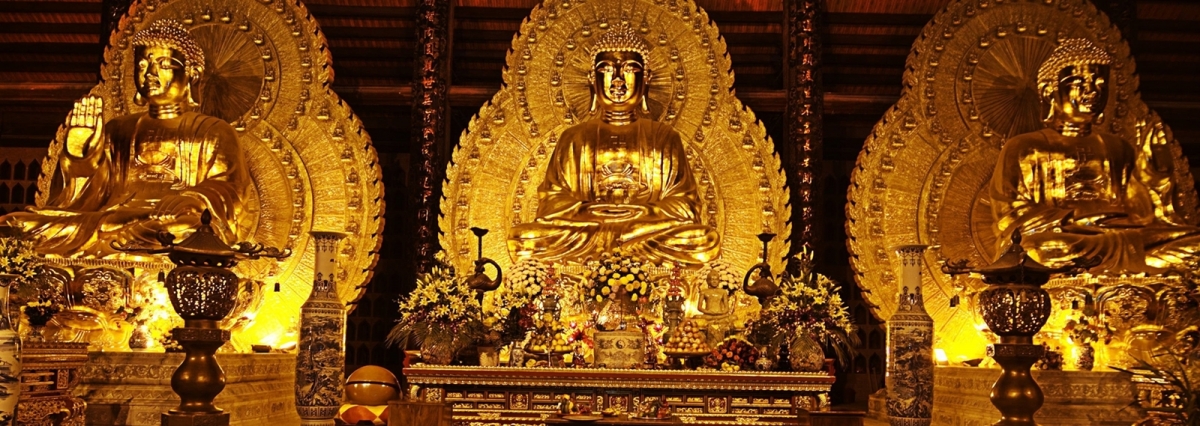 Bai Dinh Pagoda – Trang An – Cuc Phuong National Park Private 2 Days 1 Night