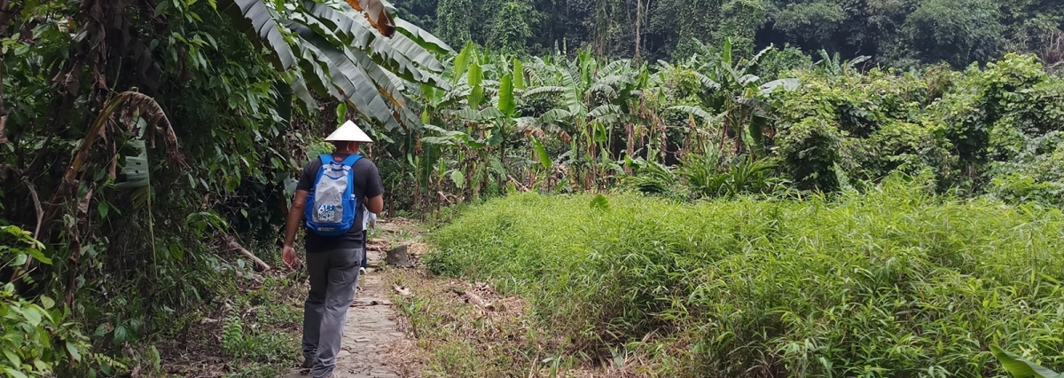 Hoa Lu - Tam Coc - Cuc Phuong National Park 2 Days - 1 Night Tour