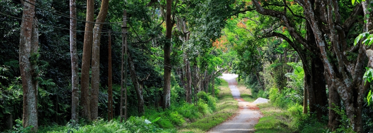 Hoa Lu - Tam Coc - Cuc Phuong National Park Private 2 Days - 1 Night Tour