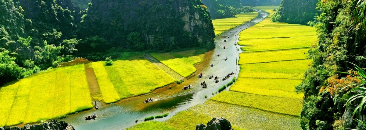 Hoa Lu - Tam Coc - Cuc Phuong National Park 2 Days - 1 Night Tour