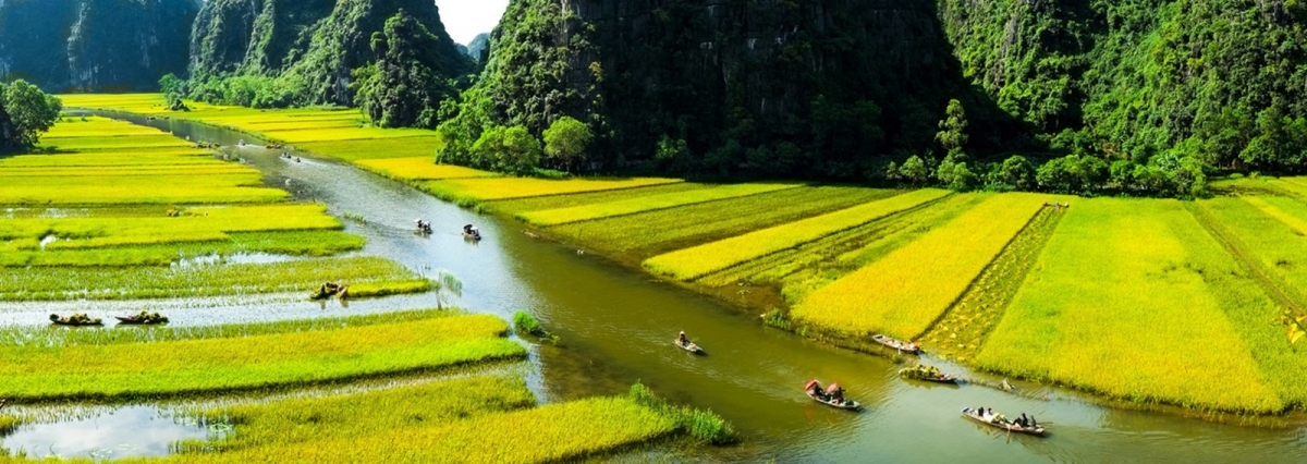 Hoa Lu - Tam Coc - Cuc Phuong National Park 2 Days - 1 Night Tour