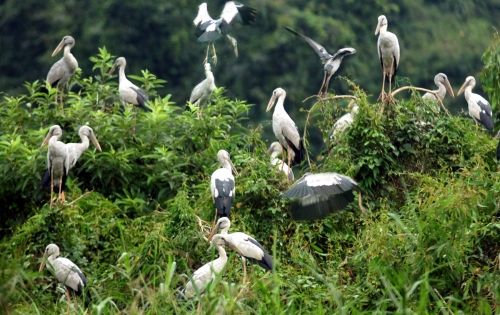 Hoa Lu – Tam Coc – Mua Cave – Thung Nham 2 Days 1 Night