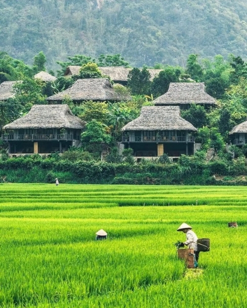 Mai Châu - Phù Luông  3 Days 2 nights Tour