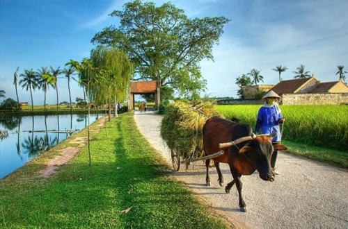 Ancient Đường Lâm Village Full Day trip