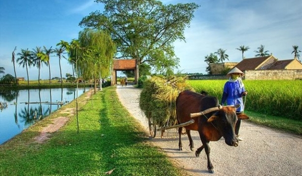 Ancient Đường Lâm Village Full Day trip
